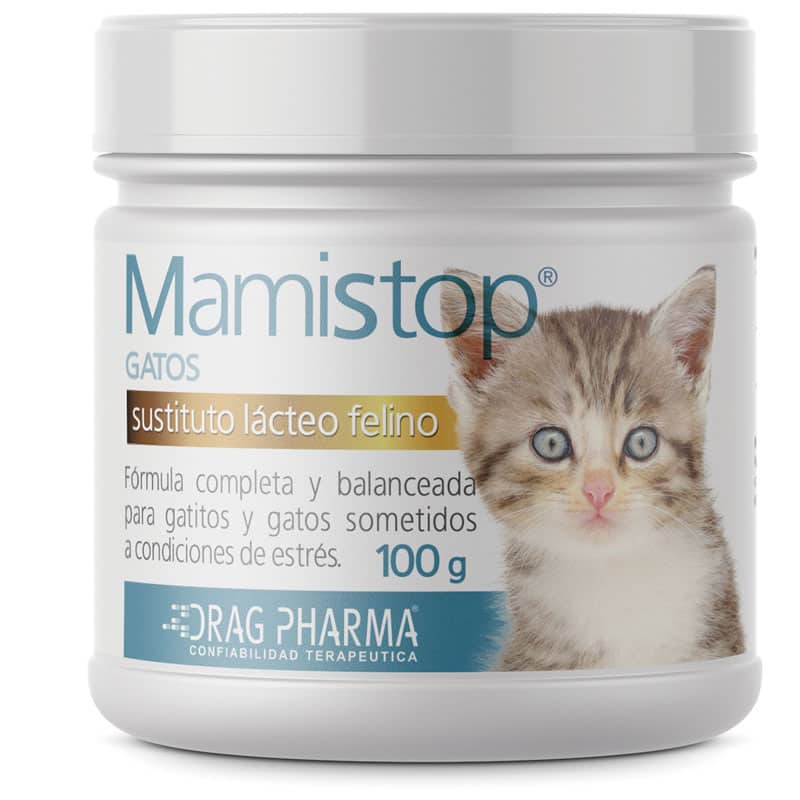 MamiStop Gatos